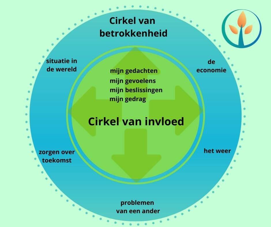 De invloed van spelvarianten‌ op ‌je winstkansen